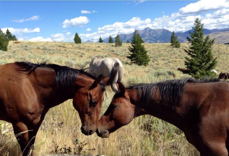 10540905_10202600072178191_5294174952663066028_n