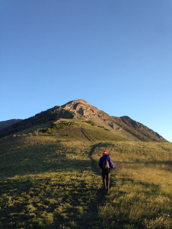 12034409_10207782078053485_451606629199652972_o(1)