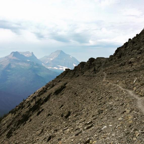 14224836_10206938616359084_5836350682297679016_n