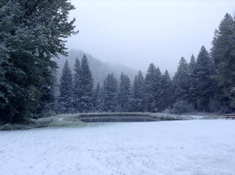 1924369_10202655597686294_9014795081202319862_n