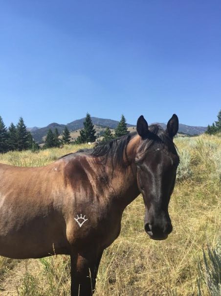 41117148-9068-4d11-b96e-c0a410298c14